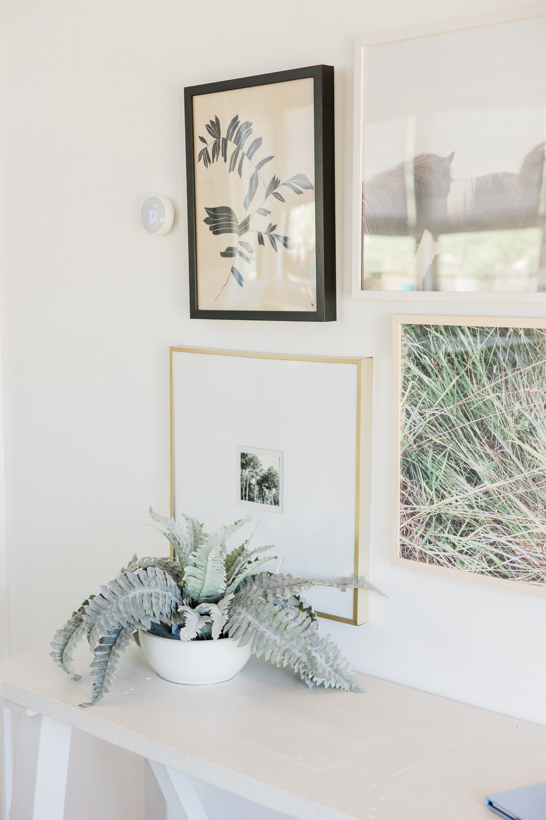 Houseplant and Paintings Hanging on the Wall